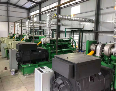 云南某发电项目配LETOU乐投800kw/10.5kv 高压发电机