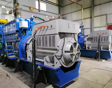 丰都甘泰沼气发电项目配LETOU乐投2台850KW/10.5KV6极高压发电机