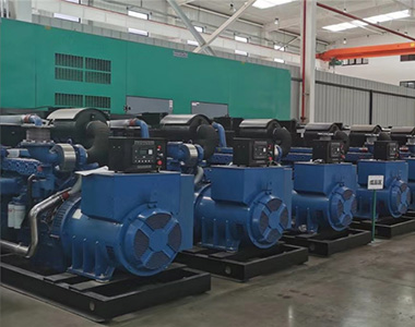 LETOU乐投500KW/400V陆用发电机应用于某养殖场项目