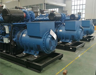 LETOU乐投800KW/400V陆用发电机应用于某养殖场项目