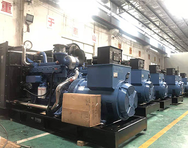 国内某养殖项目指定批量采用LETOU乐投500KW/400V陆用发电机