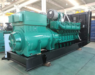 LETOU乐投1200KW/10.5KV高压发电机应用于海南某养殖业项目